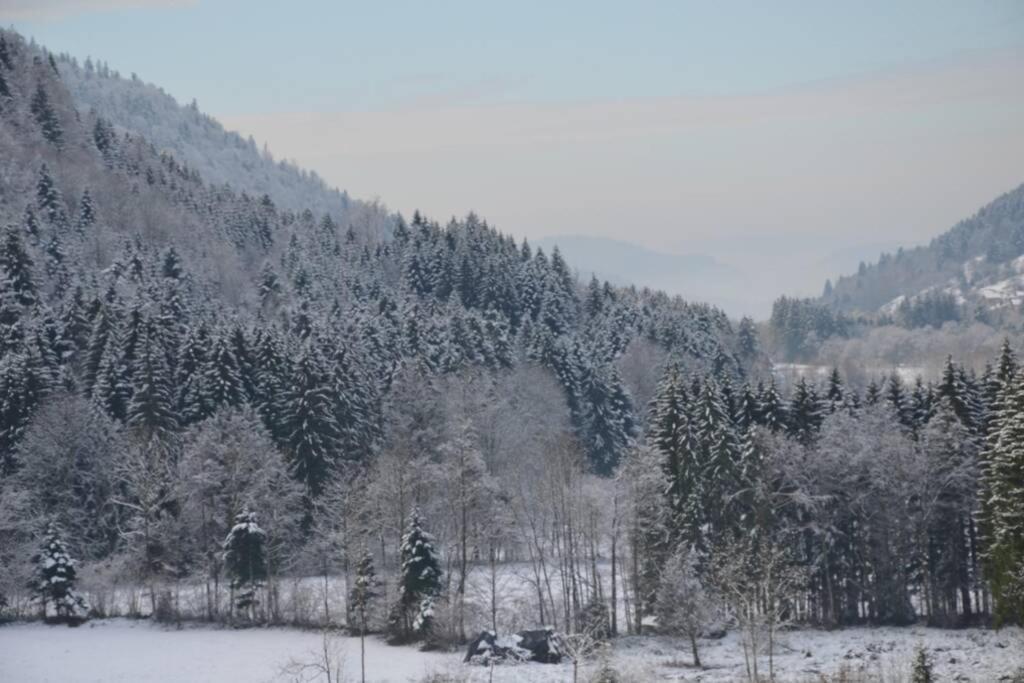 Gite De La Cheneau Rochesson Buitenkant foto