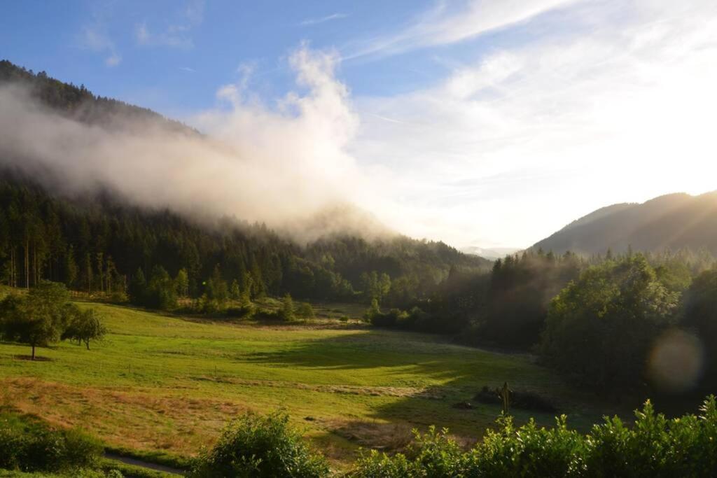 Gite De La Cheneau Rochesson Buitenkant foto